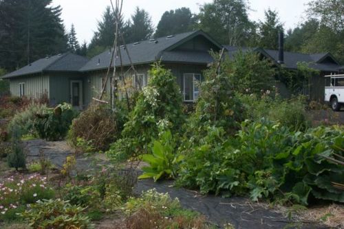 Vegetable garden, south side
